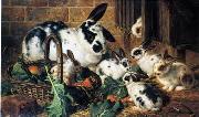 Rabbits 198 unknow artist